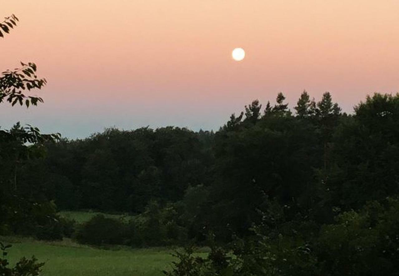 Auf Staufen Am Trauf Appartement Albstadt Buitenkant foto